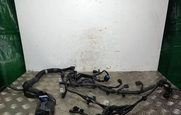 Mitsubishi Eclipse Cross Other wiring loom 8541G412