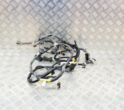 Tesla Model 3 Other wiring loom 106876700F