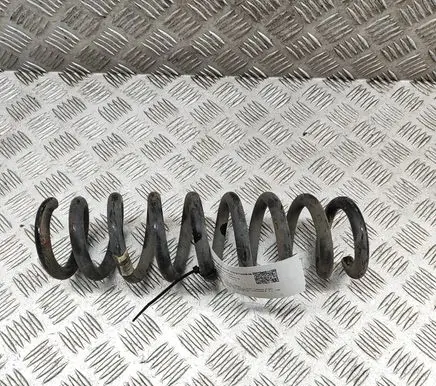 BMW 3 GT F34 Rear coil spring 6851728