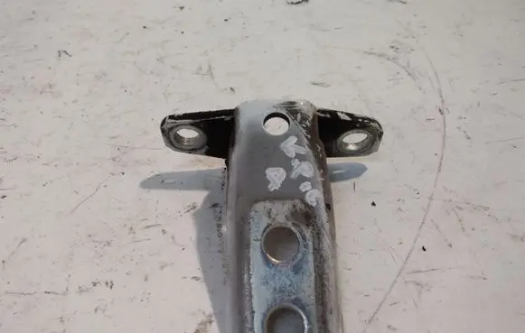 Rear door lower hinge