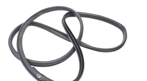 BMW 4 F32 F33 Rubber seal rear door 9G300844