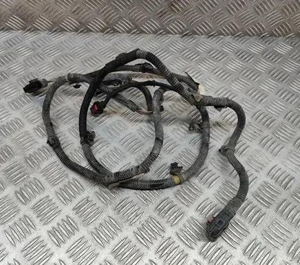 Tesla Model 3 Other wiring loom 106876901D