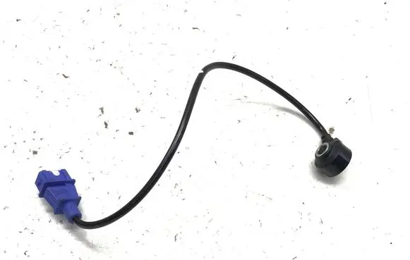 Chery Omoda 5/C5 Detonation knock sensor F01R00G039 0261231204