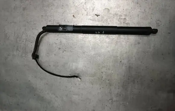 BMW X5 F15 Tailgate strut 7361878