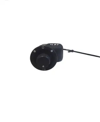 Renault Scenic II - Grand scenic II Wing mirror switch