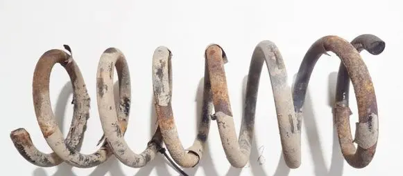 Ford S-MAX Rear coil spring