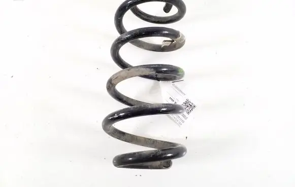 Rear coil spring