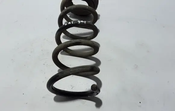 Rear coil spring