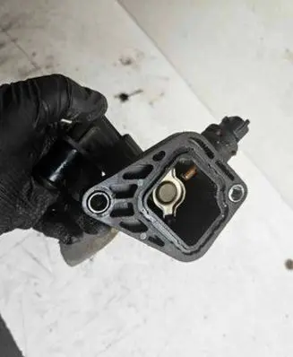 Fiat Doblo Engine coolant pipe/hose 55206391