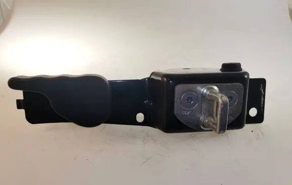 Renault Kangoo II Loading door lock loop/hook striker 497811