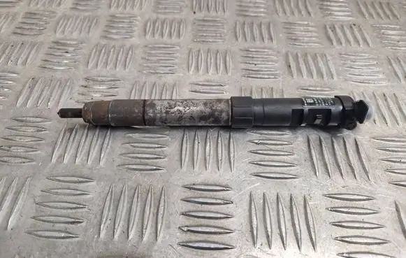 Citroen DS5 Fuel injector 9686191080