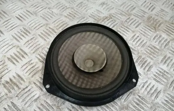 Fiat 500L Rear door speaker
