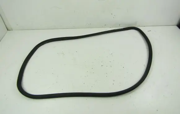 Opel Insignia A Front door rubber seal 