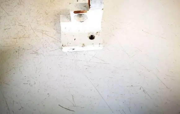 Porsche Cayenne (9PA) Rear door lower hinge