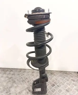 Front shock absorber with coil spring