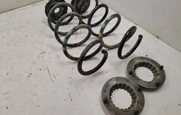 Dacia Sandero III Rear coil spring 550362599R