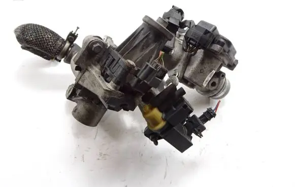 EGR valve