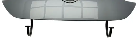Engine bonnet/hood