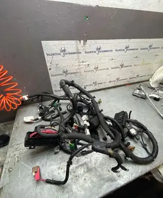 Renault Koleos II Other wiring loom 403882652R F1635367 243817990A