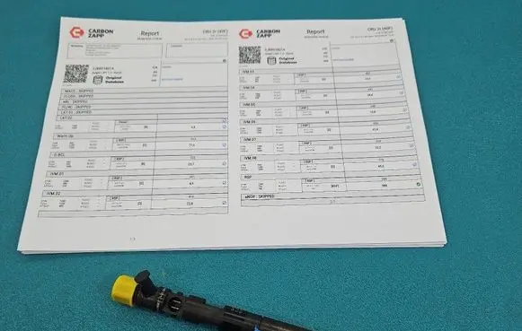 Renault Megane II Fuel injector EJBR01801A IMPRK1543943