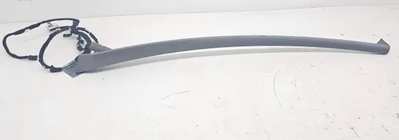 BMW 7 E65 E66 Other front door trim element 7024310 13318855 100018741