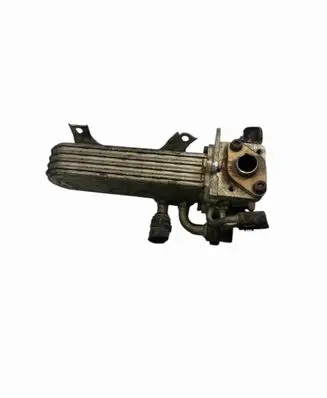 Volkswagen Golf V EGR valve cooler 038131513AD