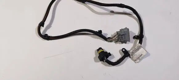 Maserati Quattroporte Gearbox/transmission wiring loom 06700074020