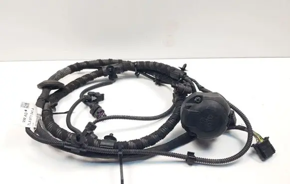 Volkswagen Multivan T6 Other wiring loom 7LA971541A