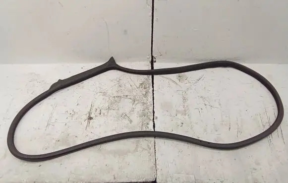 BMW 4 F32 F33 Rubber seal front coupe door 7279741