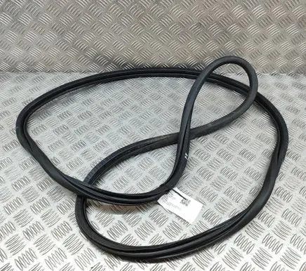 Dacia Sandero Rubber seal front coupe door 9811537480