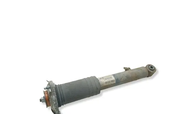 BMW X5 E70 Rear shock absorber/damper 6781931