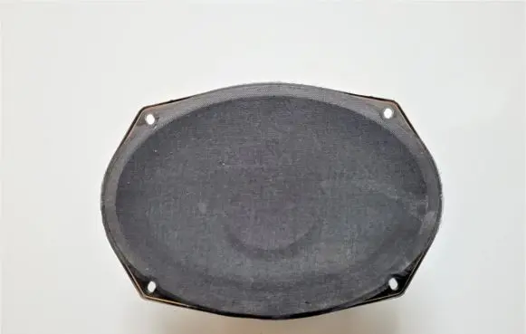 Chrysler Pacifica Front door speaker 5091019AB