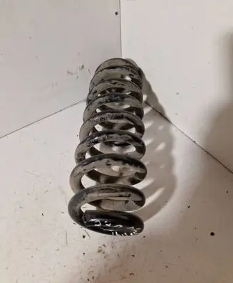 Rear coil spring
