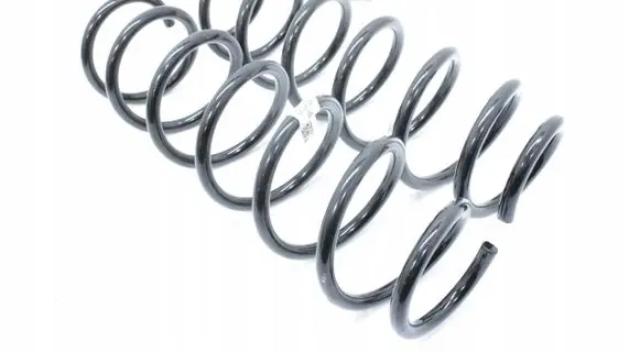 Rear coil spring