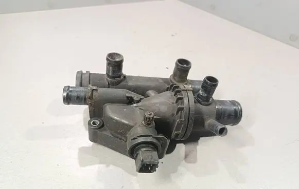 Thermostat/thermostat housing