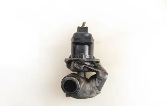 EGR valve