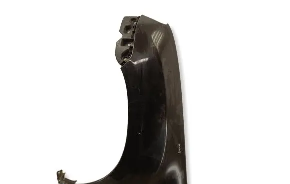 Dacia Duster Fender 