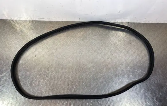 Ford F150 Rear door rubber seal (on body) 