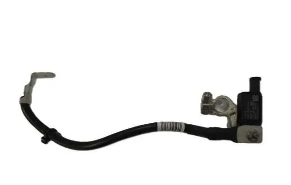 Ford Fiesta Negative earth cable (battery) H1BT10C679AC