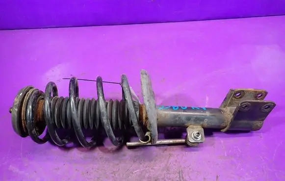 Peugeot Partner Front shock absorber with coil spring 
