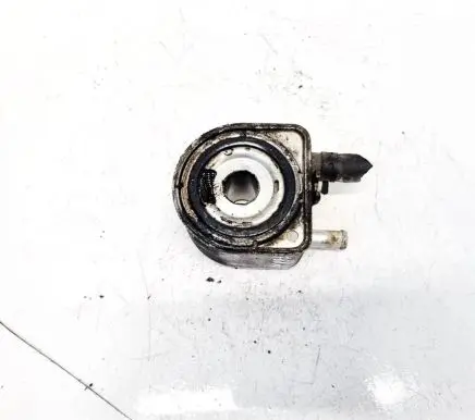 Peugeot 807 Engine oil radiator 9637319180