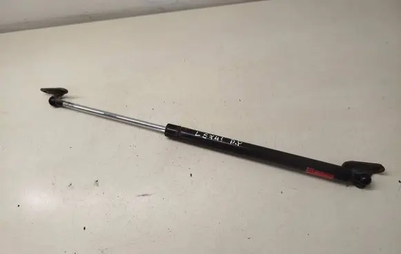 Lexus RX 330 - 350 - 400H Tailgate strut 
