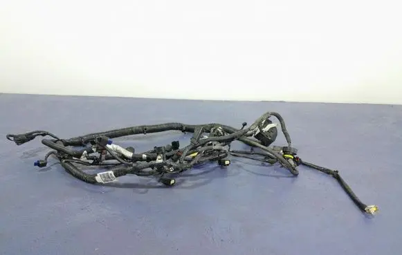 Ford Mustang VI Other wiring loom