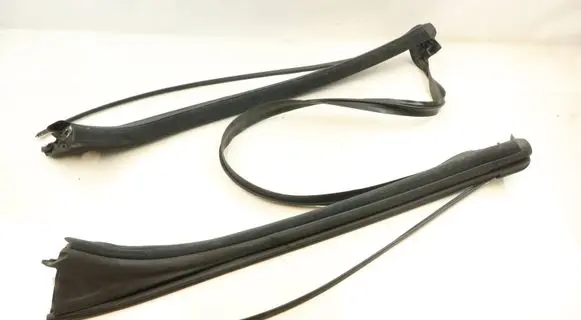 BMW M6 Rubber seal front coupe door window 7175474 51767175474