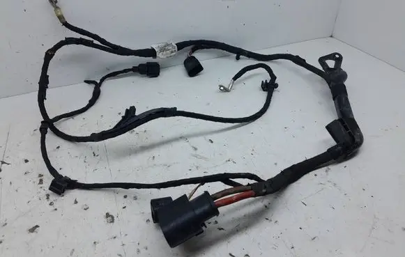 Cupra Formentor Other wiring loom 5WB971111BK