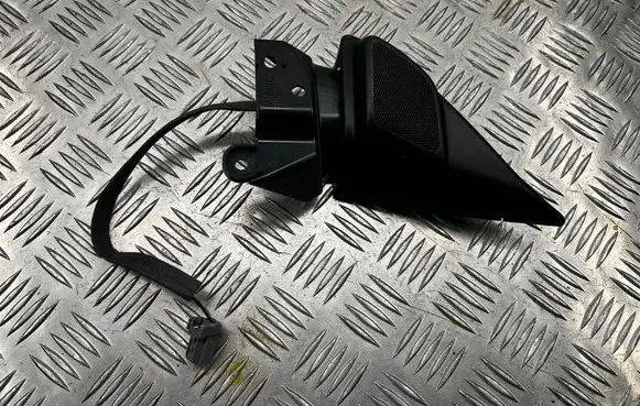 Front door speaker
