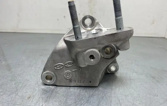 Hyundai Ioniq Engine mounting bracket HAO