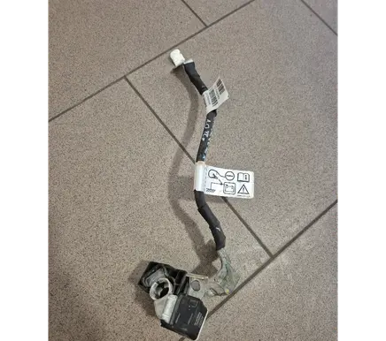 Dacia Sandero III Negative earth cable (battery) 250820499R