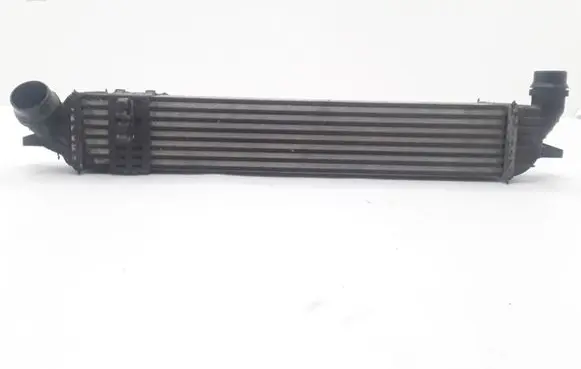 Renault Latitude (L70) Intercooler radiator 144965690R