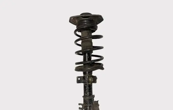 Fiat Multipla Front shock absorber with coil spring 46536242 50711124